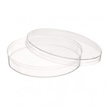 Polypropylene Petri Dish (75 Mm) -Pack Of 36 Pcs